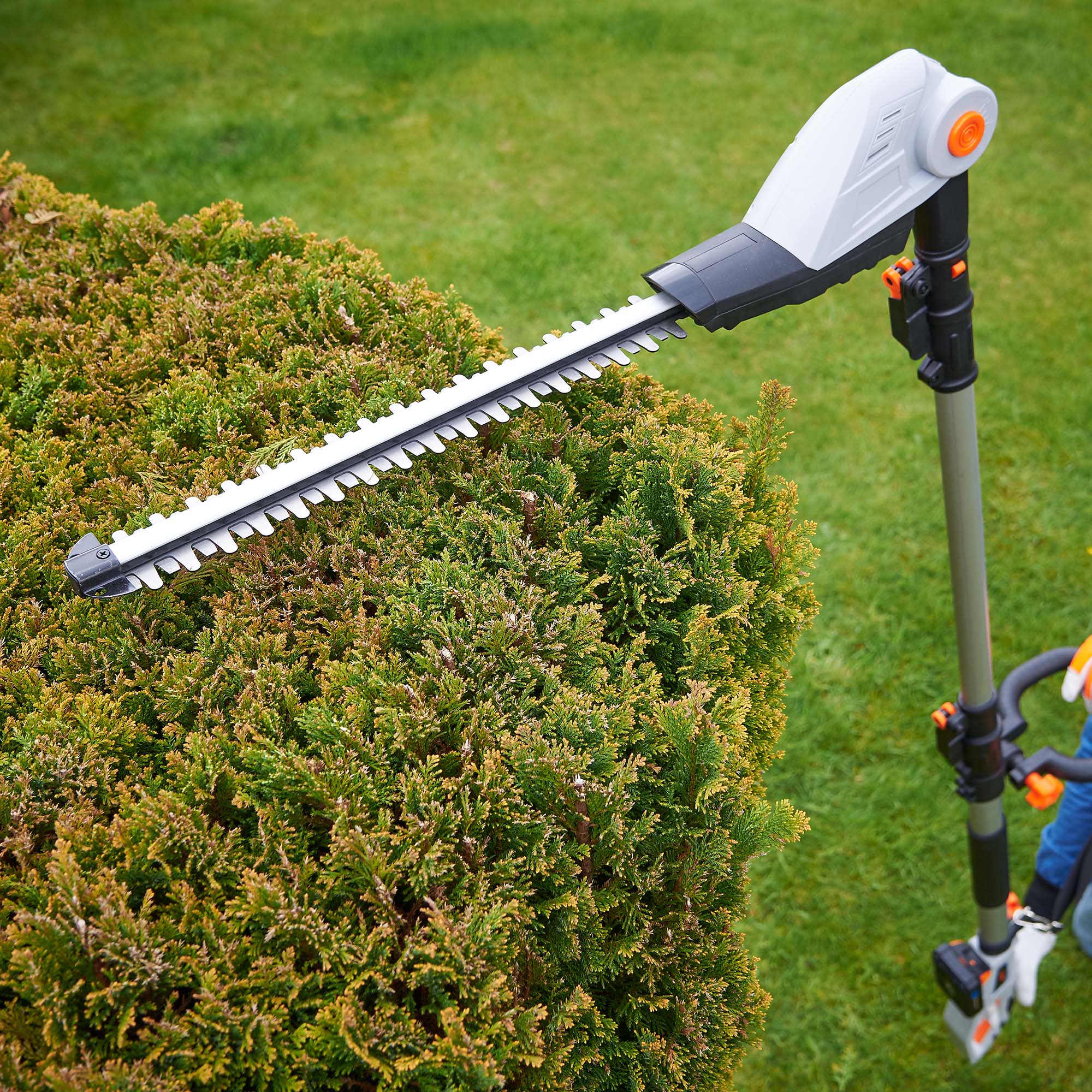 pole hedge trimmers for sale
