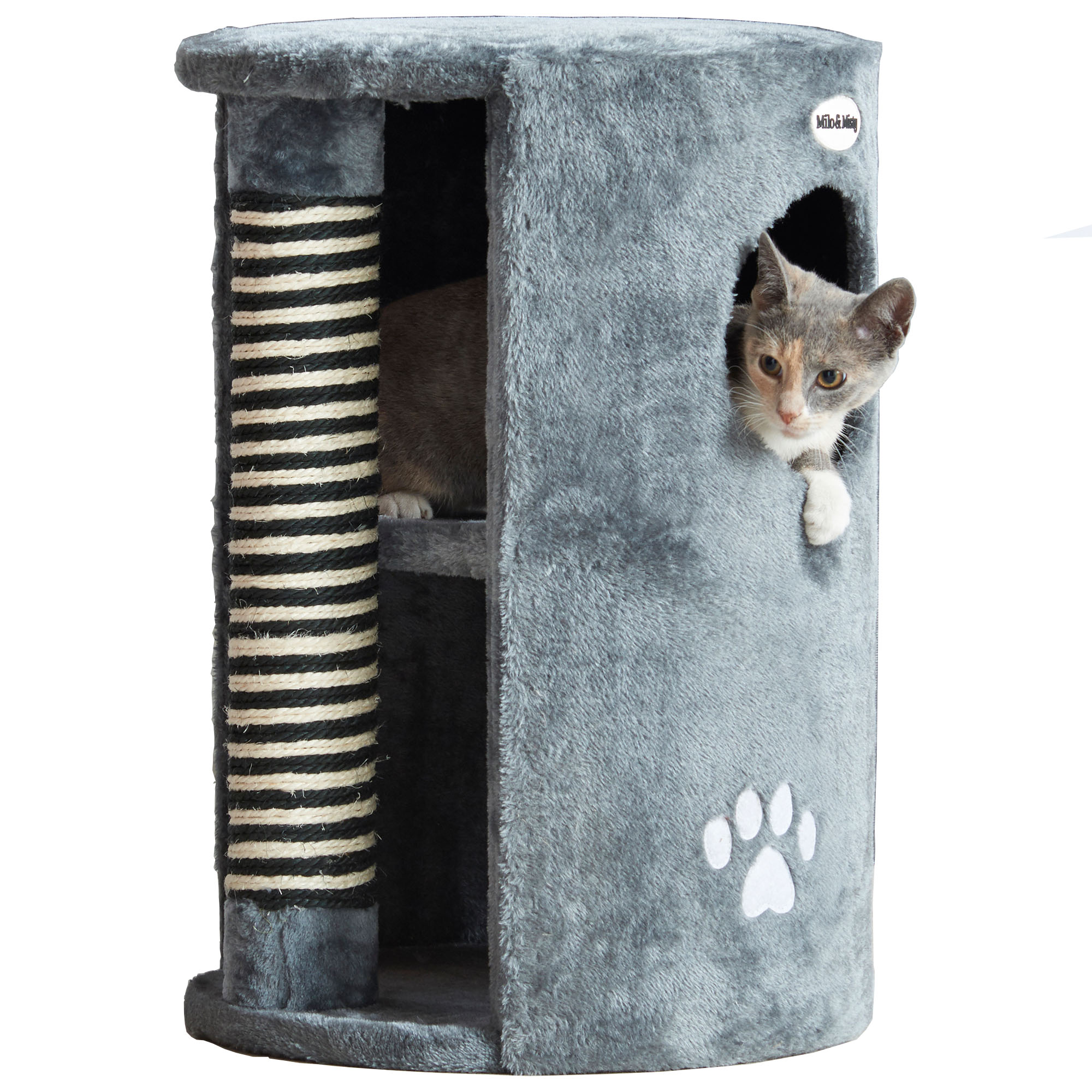 cat scratch post and bed