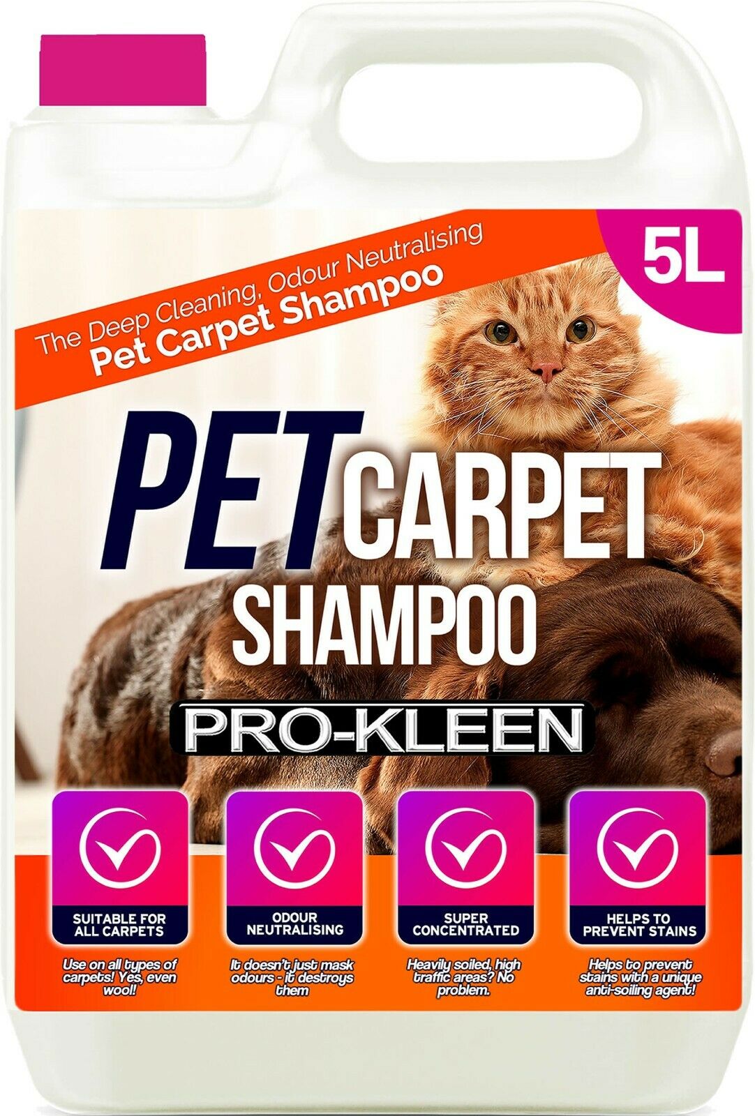 prokleen carpet cleaning