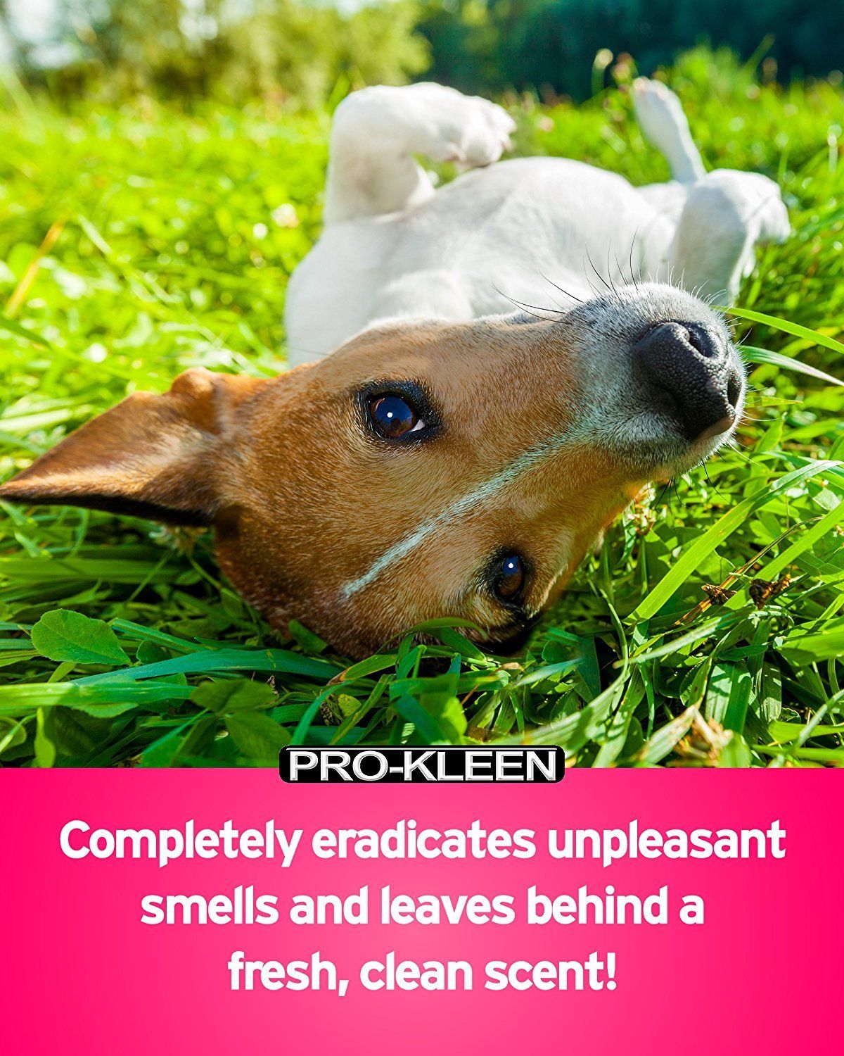 ProKleen Kennel Disinfectant Cleaner Ordour Deodoriser Sanitizer Pet
