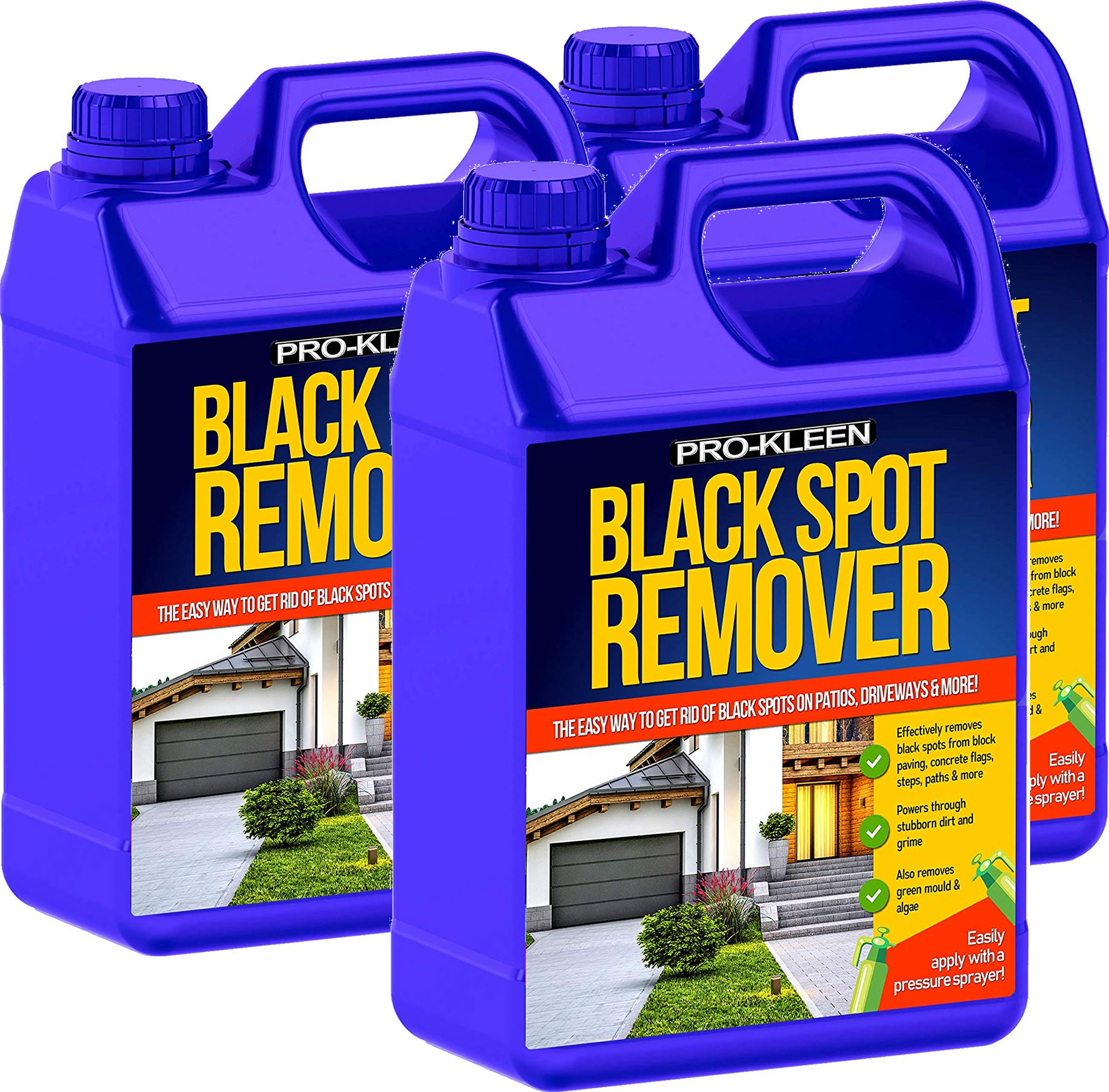 ProKleen Patio Black Spot Cleaner Lichen Remover Algae Green Mould Moss Killer eBay