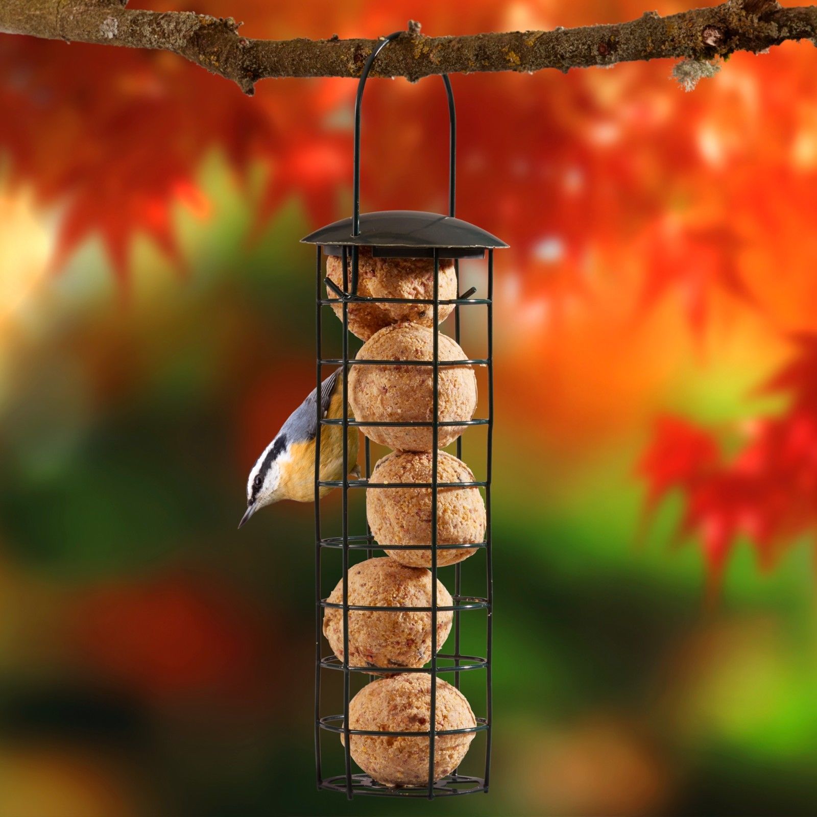 Supa Wild Bird Feeder Hanging Suet Fat Ball Holder Lift Lid 5x100g