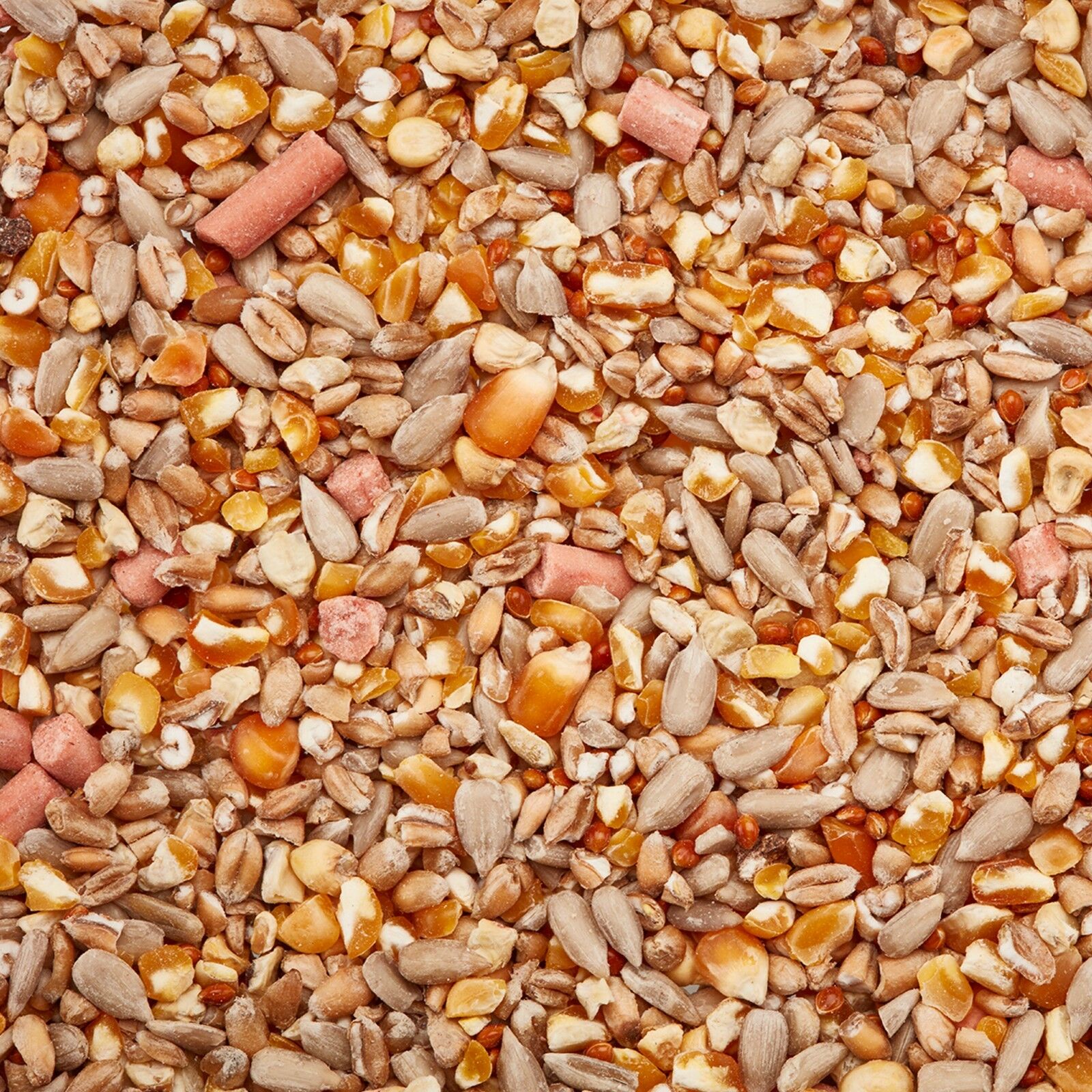 Wild Bird Food Seed Mix No Grow Husk Waste Premium Feed 5 12.75 25kg