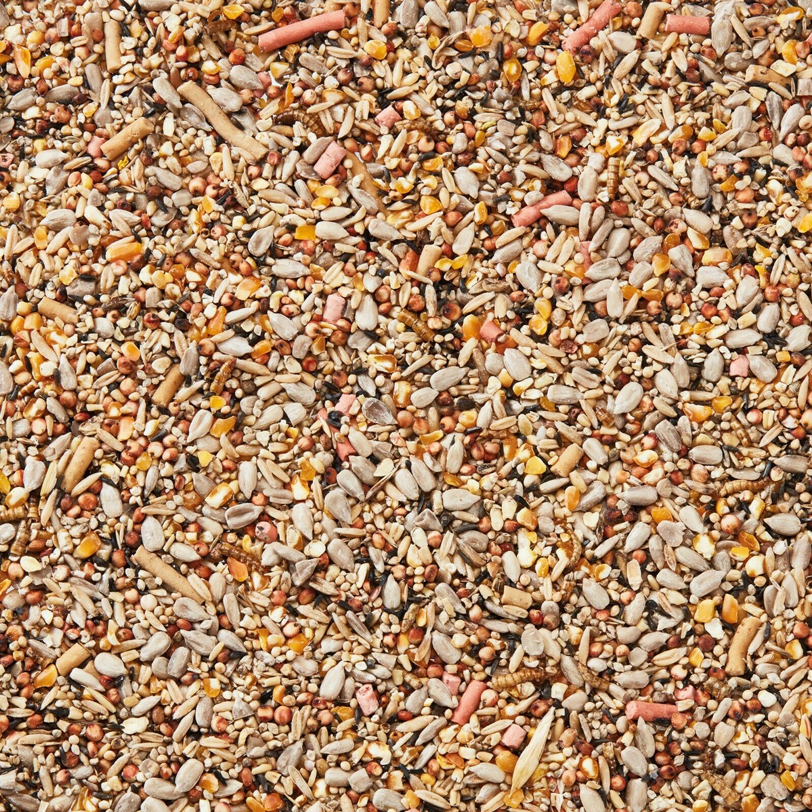 Wild Garden Bird Food Seed Spring & Summer Mix Feed 5 12.75 25kg Happy