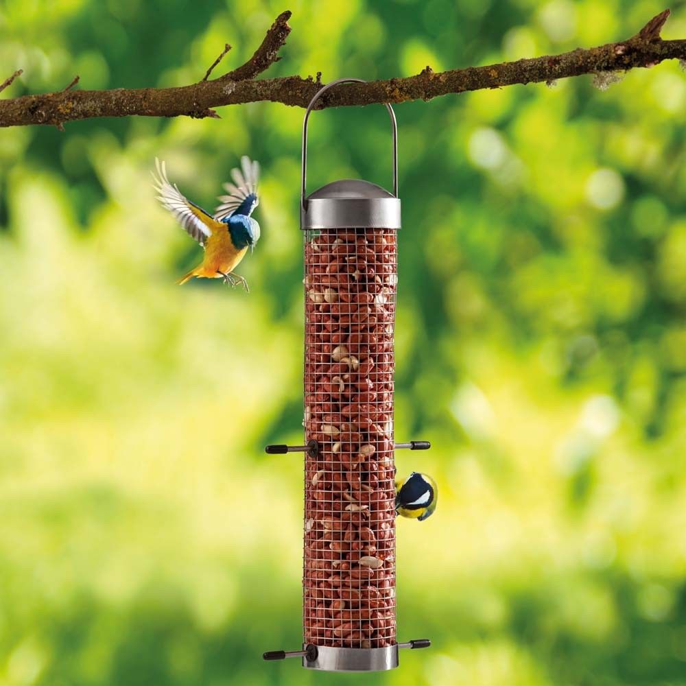 Supa Wild Bird Feeder Hanging Dome Peanut Holder 2/4 Perch 350g 500g
