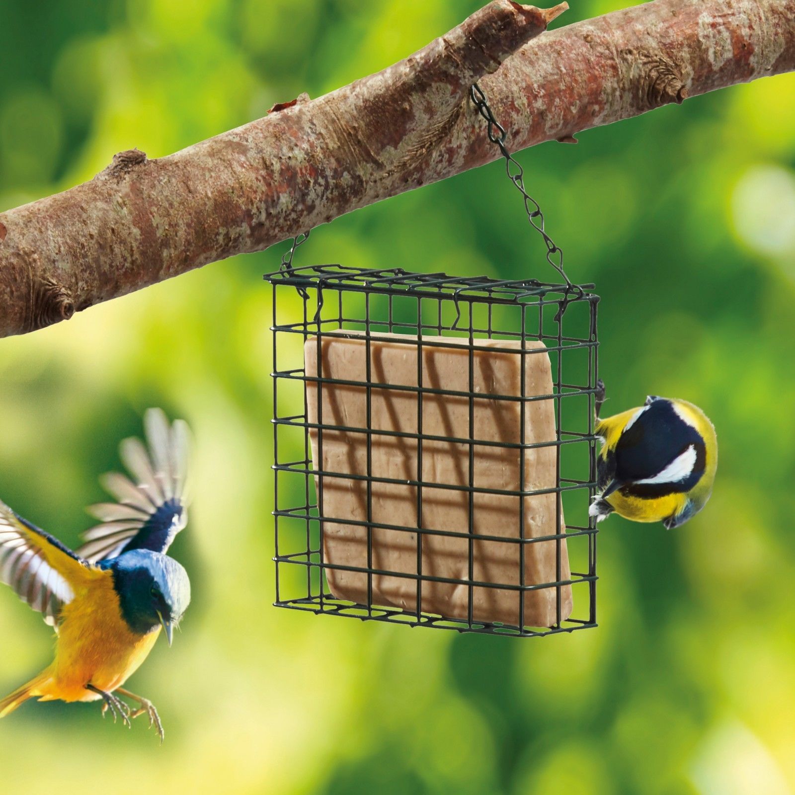 Natures Market Wild Bird Feeder Cage Hanging Suet Cake Holder Chain