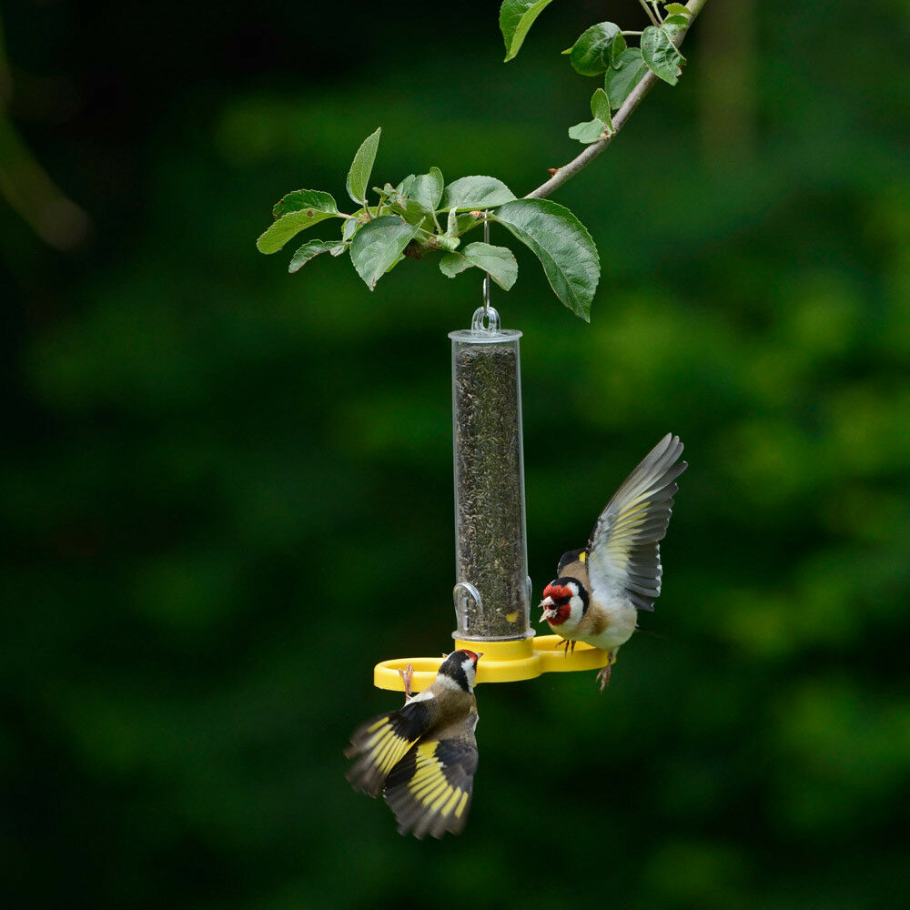 Jacobi Jayne Wild Bird Feeder Filled FREE Niger Seed 2 Port Holder