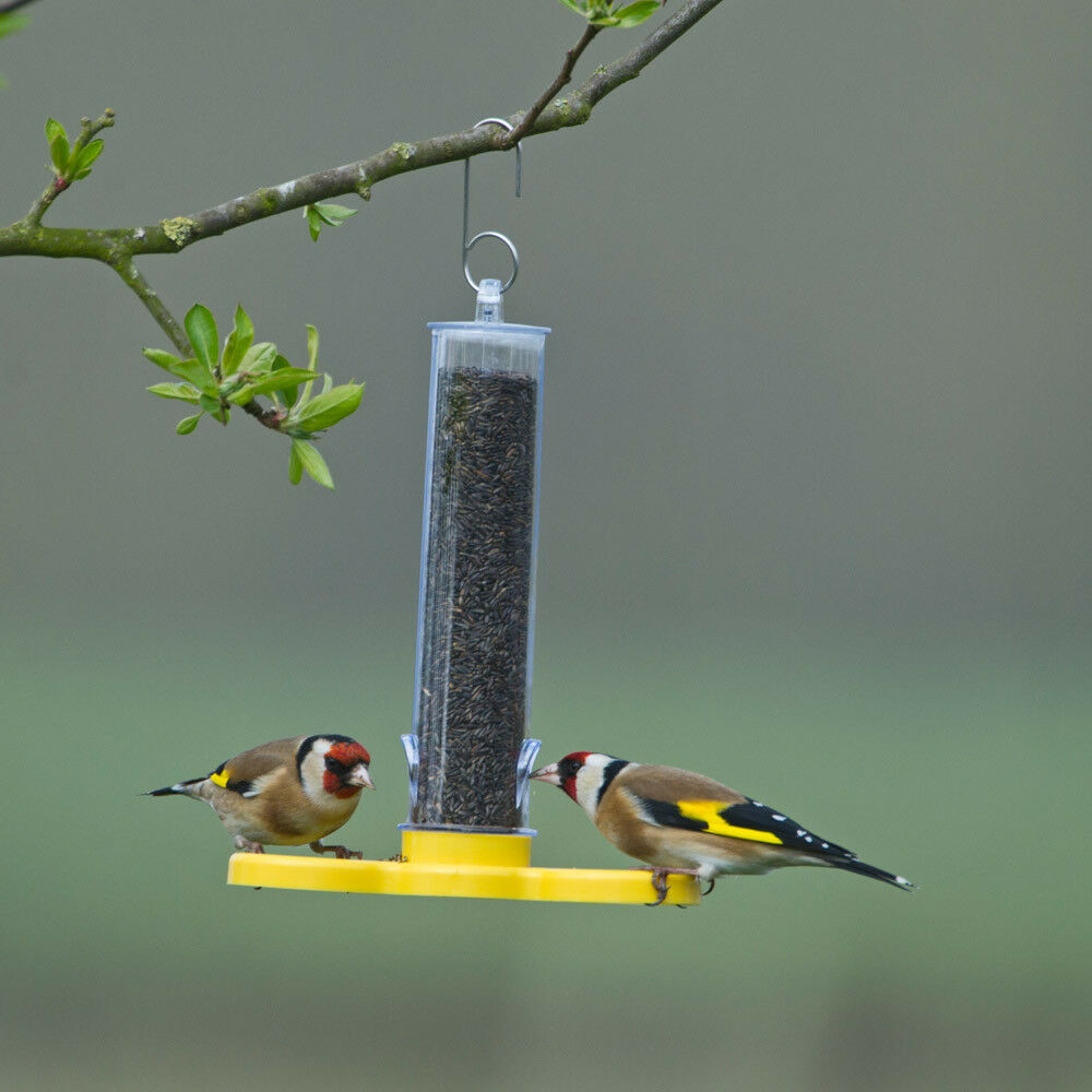 Jacobi Jayne Wild Bird Feeder Filled FREE Niger Seed 2 Port Holder