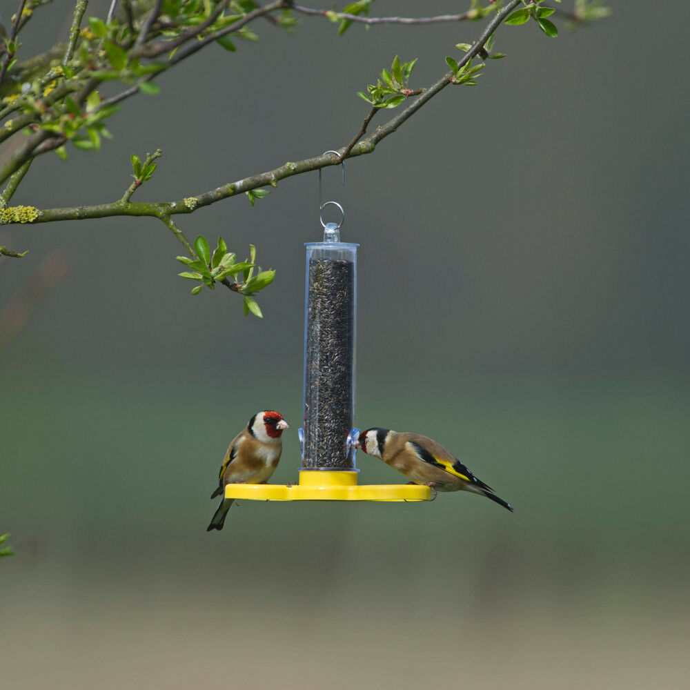 Jacobi Jayne Wild Bird Feeder Filled Free Niger Seed 2 Port Holder