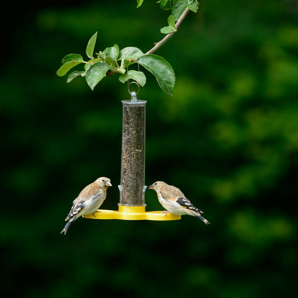 Jacobi Jayne Wild Bird Feeder Filled FREE Niger Seed 2 Port Holder