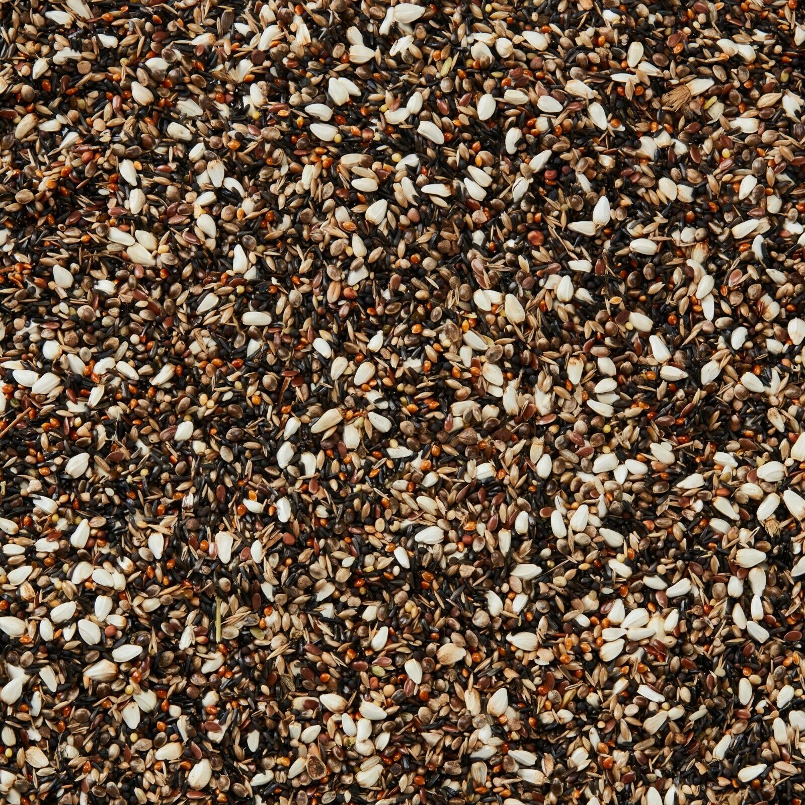 Wild Garden Bird Food Seed Goldfinch Special Mix Feed 5 12.75 25kg