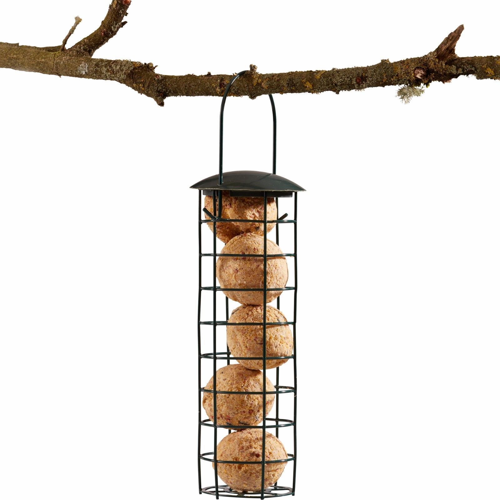 Supa Wild Bird Feeder Hanging Suet Fat Ball Holder Lift Lid 5x100g